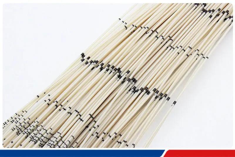 PEEK Capillary image 1