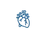 Cardiovascular
