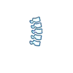 Spine