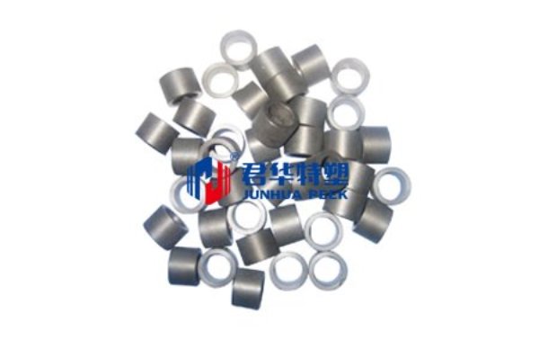 PEEK oil pump slider
