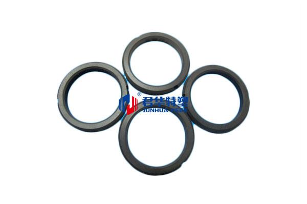PEEK sealing ring