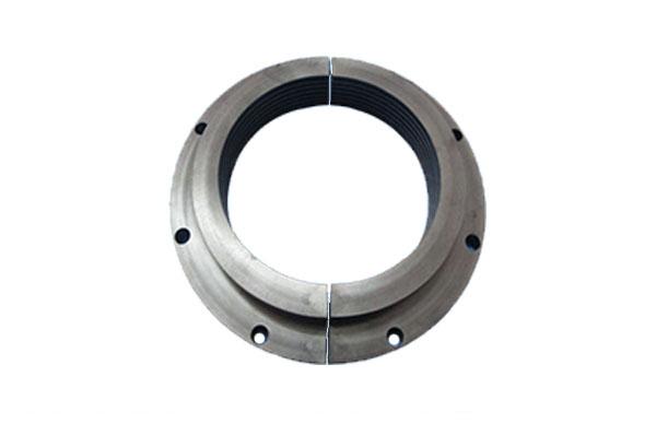 PEEK gas sealing ring