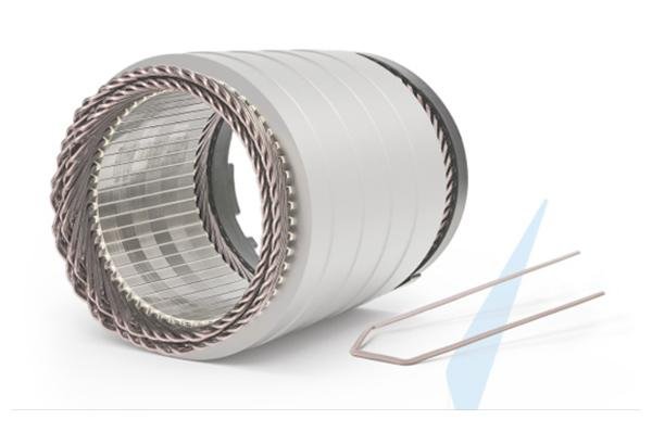 PEEK Flat Wire