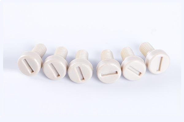 PEEK round head slotted screw