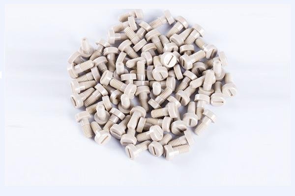 PEEK Screw Round Head Slotted