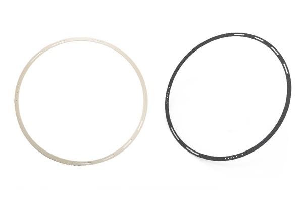 Modified PEEK sealing gasket