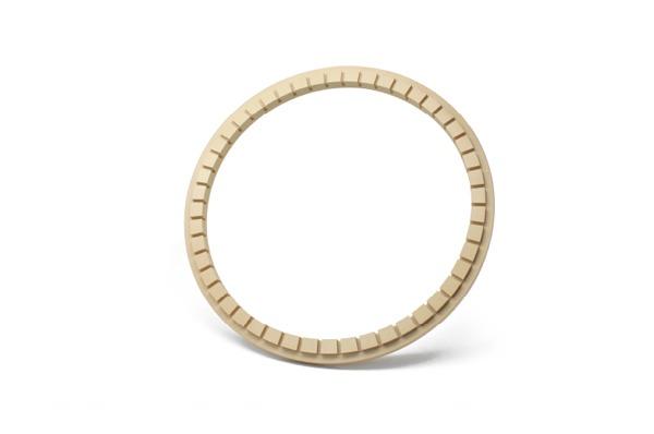 PPS CMP retaining ring