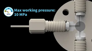 PEEK Manual Switching Valve